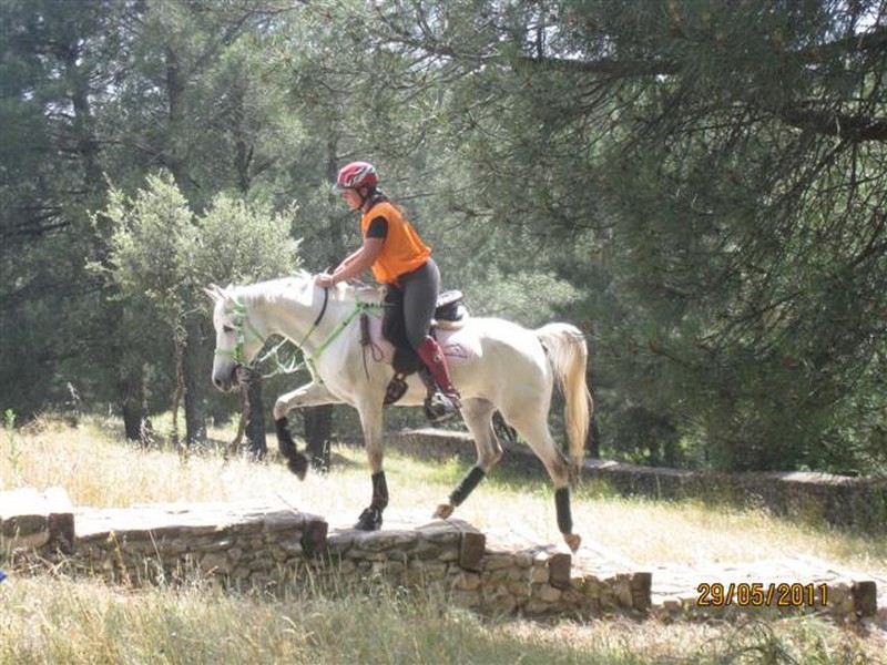 La Selección Navarra de Trec se clasifica para el Campeonato de España 2011